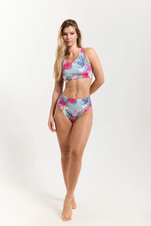 hibiskus PoleAddict2153.webp